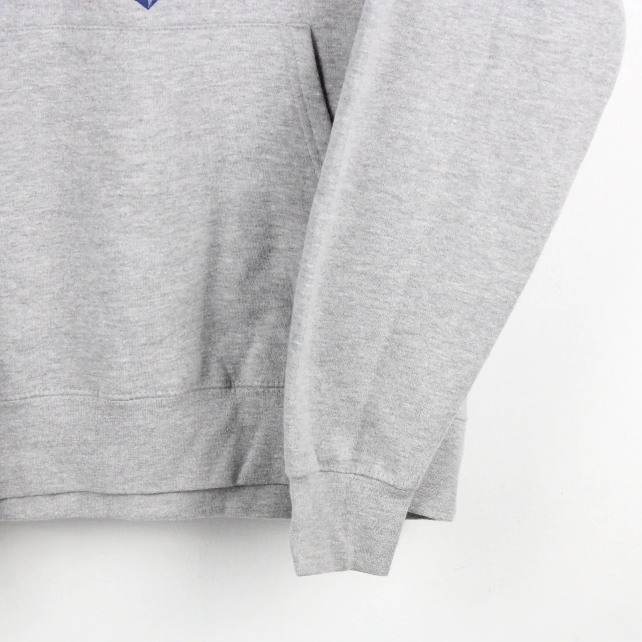 CHAMPION Hoodie Grey | Small