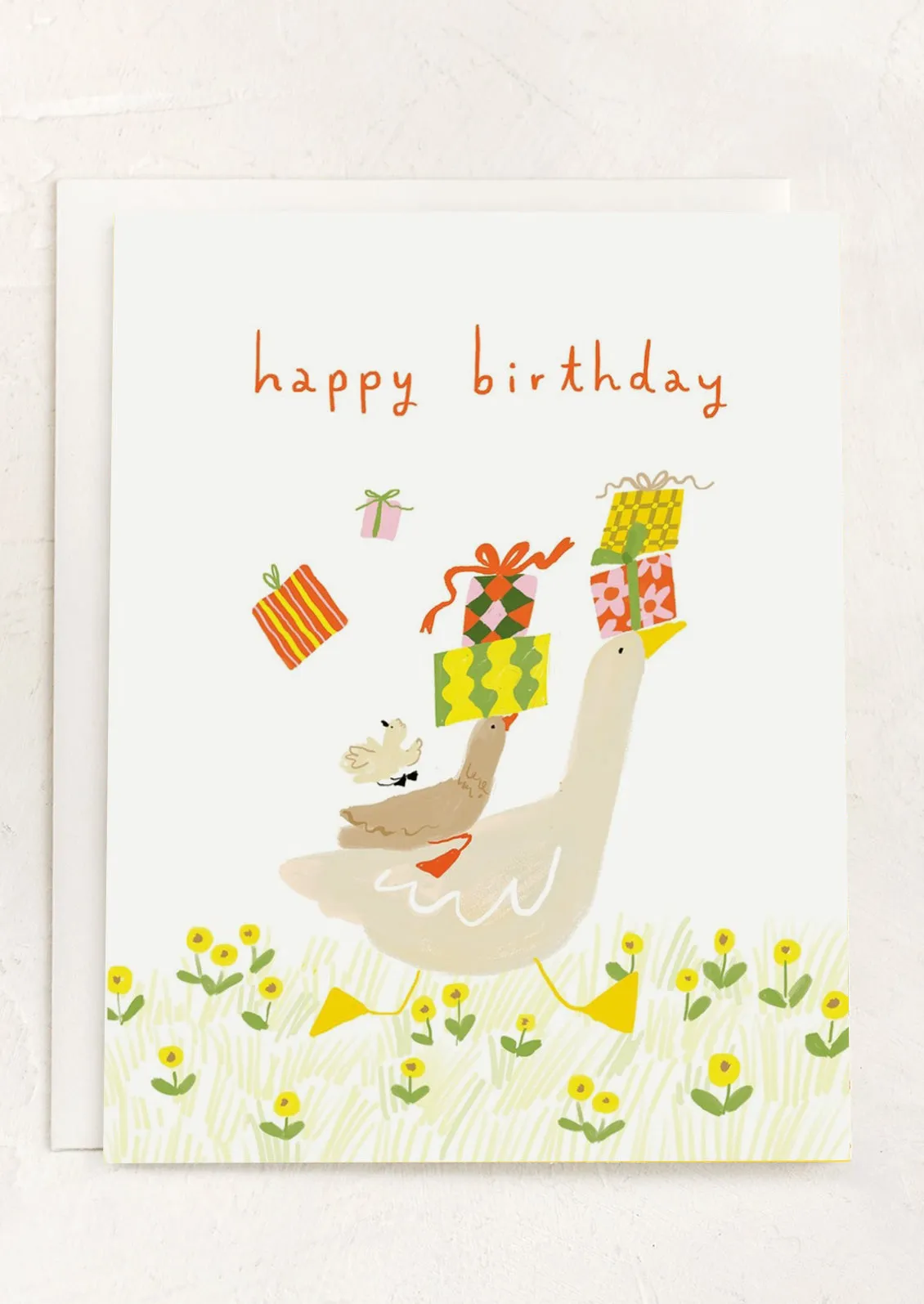 Duck Delivery Birthday Card