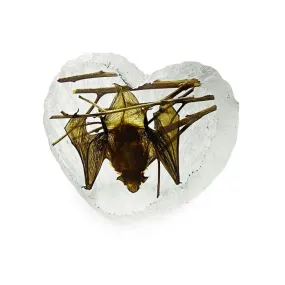 Paperweight-Bat Heart