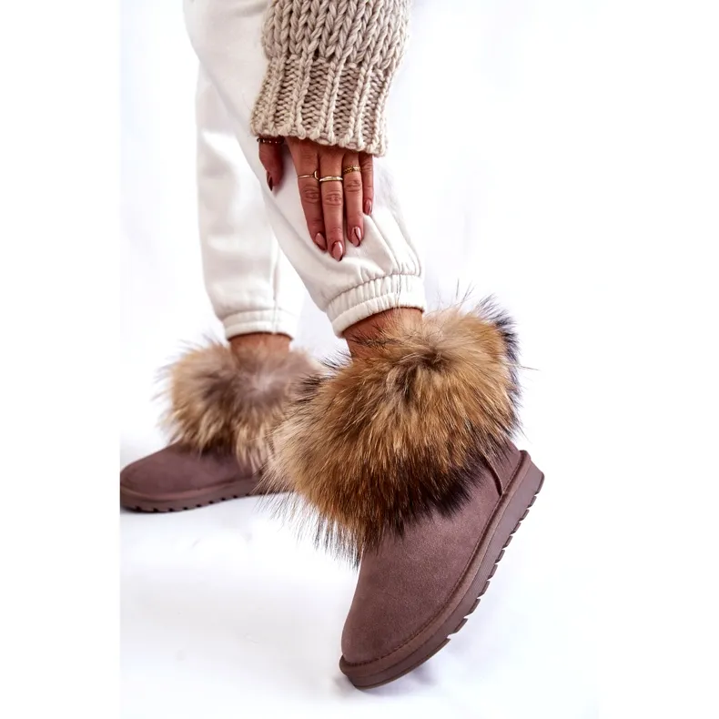 Women's Taupe Alexa Suede Snow Boots With Fur beige