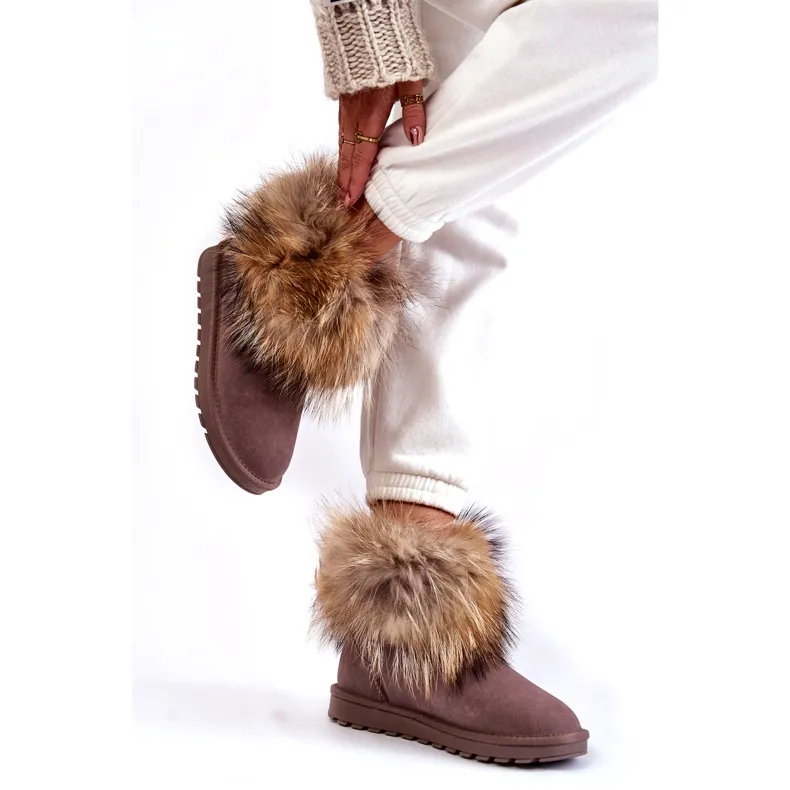 Women's Taupe Alexa Suede Snow Boots With Fur beige