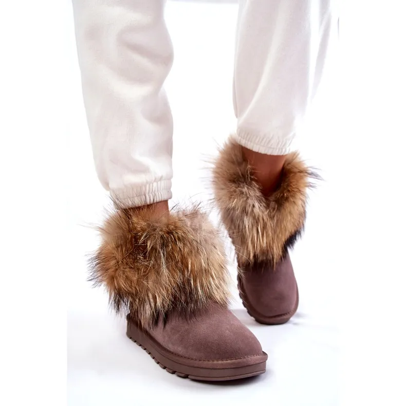 Women's Taupe Alexa Suede Snow Boots With Fur beige